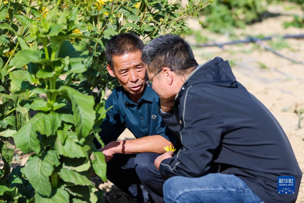 手机版捕鱼游戏中心